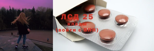 гидра Алексеевка