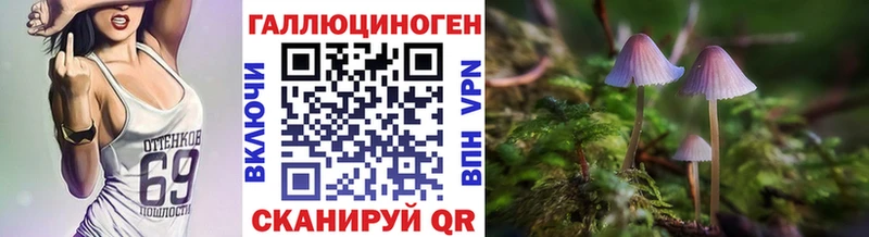 дарк нет формула где найти Сельцо Псилоцибиновые грибы мухоморы